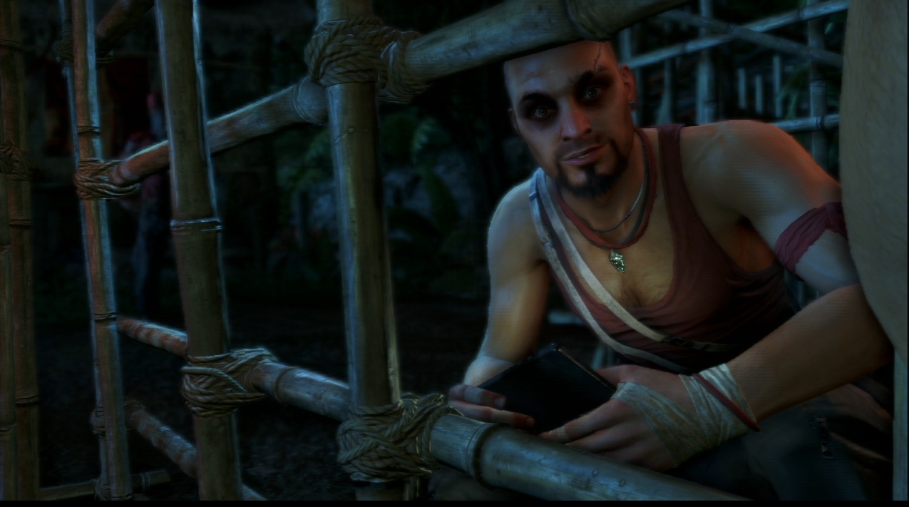 Pantallazo de Far Cry 3 Edición Demencia para PlayStation 3