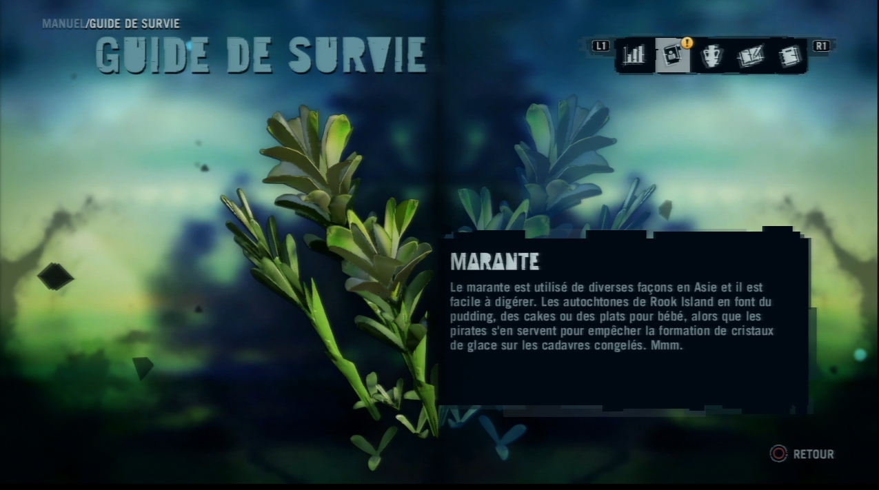 Pantallazo de Far Cry 3 Edición Especial La Expedición Perdida para PlayStation 3