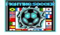 Pantallazo nº 8029 de Fighting Soccer (316 x 198)