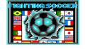 Foto 1 de Fighting Soccer