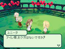 Pantallazo de Final Fantasy: The 4 Heroes of Light para Nintendo DS