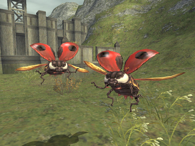 Pantallazo de Final Fantasy XI: Wings of the Goddess para Xbox 360