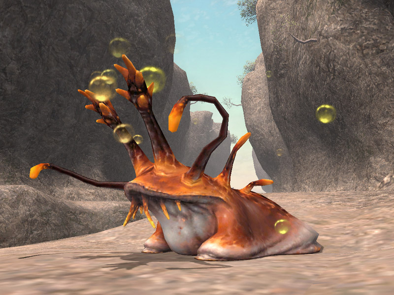 Pantallazo de Final Fantasy XI: Wings of the Goddess para Xbox 360