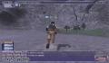 Pantallazo nº 155504 de Final Fantasy XI Online (640 x 480)