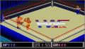 Pantallazo nº 93982 de Fire Pro Wrestling 6 Men Scramble Japonés (250 x 205)