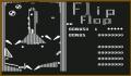 Flip Flop