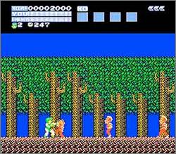 Pantallazo de Flying Dragon: The Secret Scroll para Nintendo (NES)