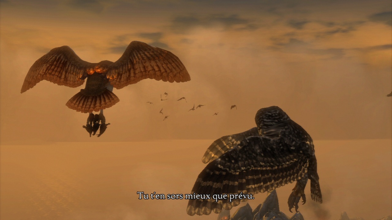 Pantallazo de Gahoole: La Leyenda De Los Guardianes para PlayStation 3