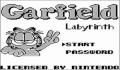 Garfield Labyrinth