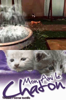 Pantallazo de Gatitos: Tus Amigos más Traviesos para Nintendo DS