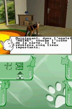 Pantallazo de Gatitos: Tus Amigos más Traviesos para Nintendo DS