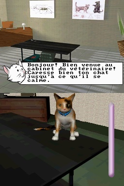 Pantallazo de Gatitos: Tus Amigos más Traviesos para Nintendo DS