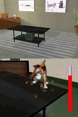 Pantallazo de Gatitos: Tus Amigos más Traviesos para Nintendo DS