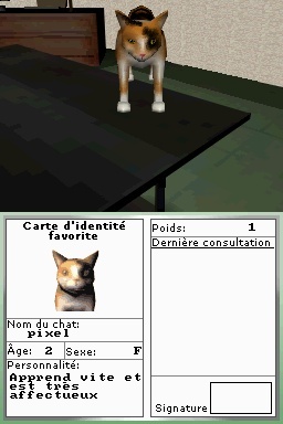 Pantallazo de Gatitos: Tus Amigos más Traviesos para Nintendo DS