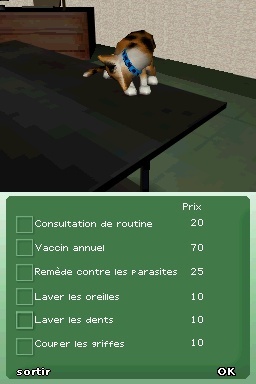 Pantallazo de Gatitos: Tus Amigos más Traviesos para Nintendo DS