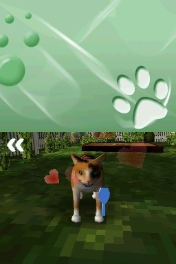 Pantallazo de Gatitos: Tus Amigos mas Traviesos para Nintendo DS