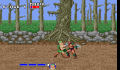 Pantallazo nº 63388 de Golden Axe (320 x 200)