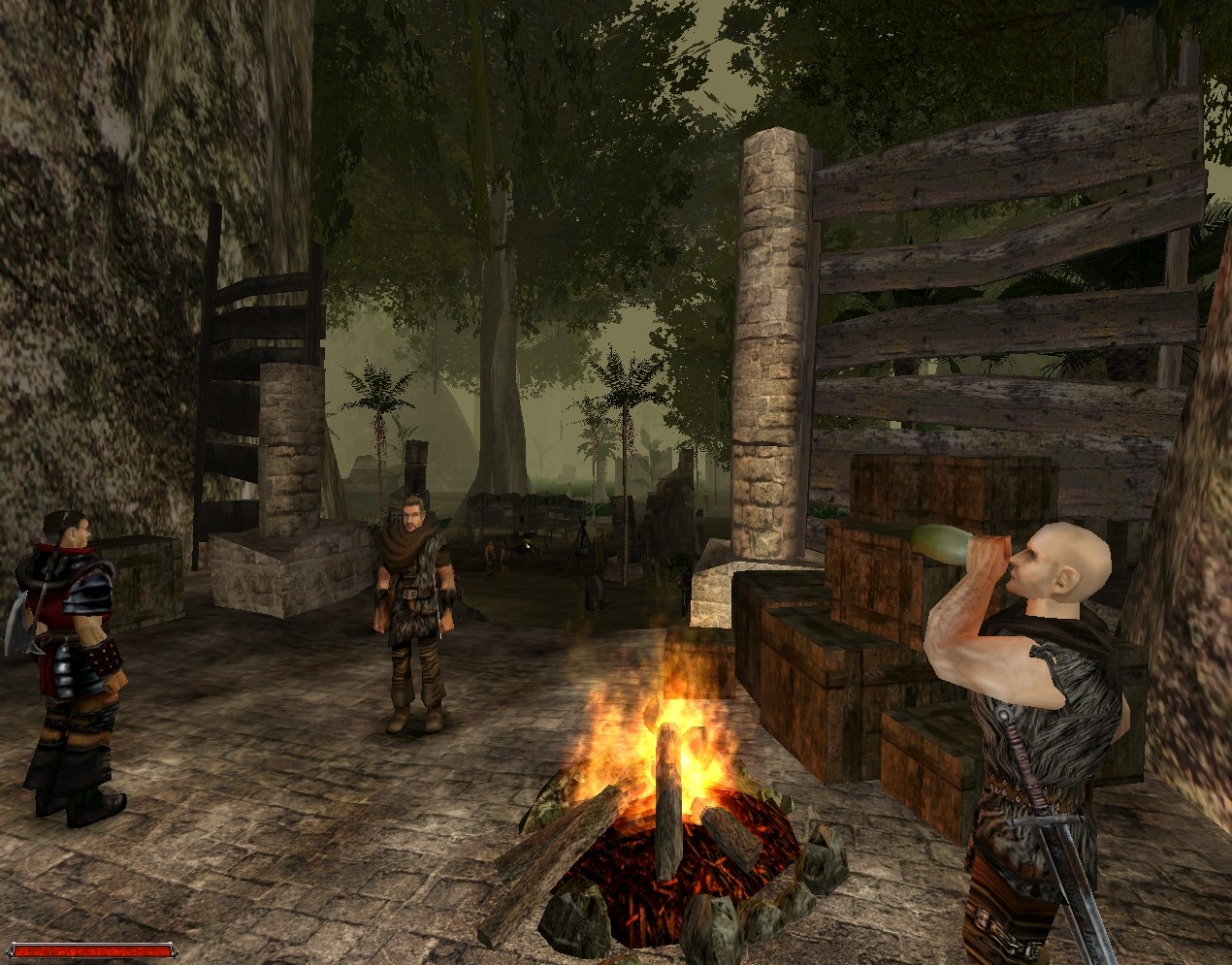 Pantallazo de Gothic II : The Night of the Raven para PC