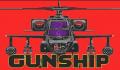 Foto 1 de Gunship