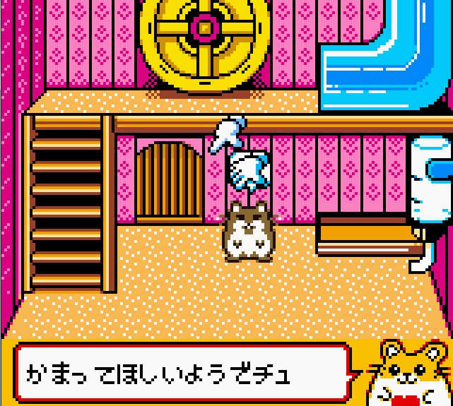 Pantallazo de Hamster Paradise 3 para Game Boy Color