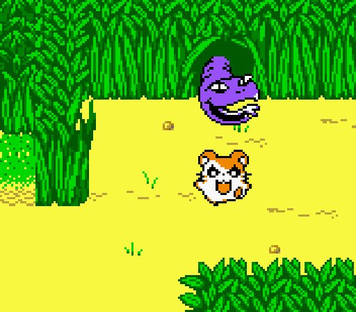 Pantallazo de Hamtaro: Ham-Hams Unite! para Game Boy Color
