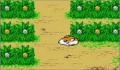 Foto 1 de Hamtaro: Ham-Hams Unite!