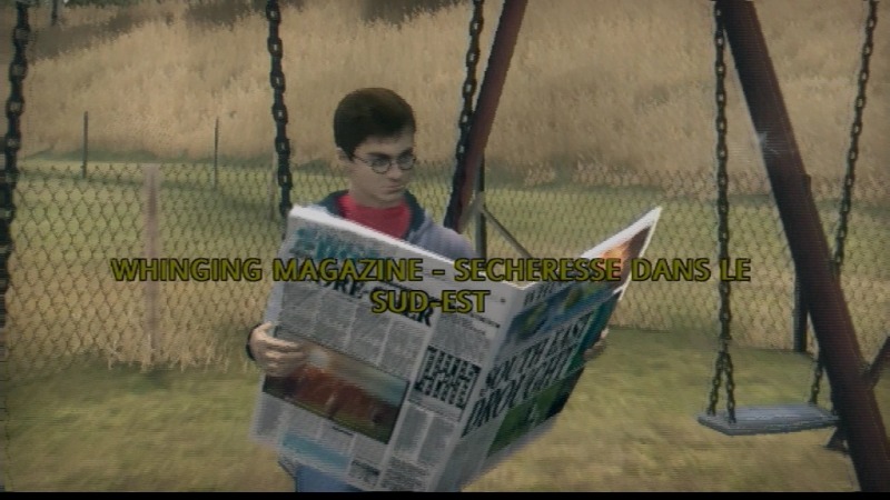 Pantallazo de Harry Potter y La Orden del Fénix para PlayStation 3