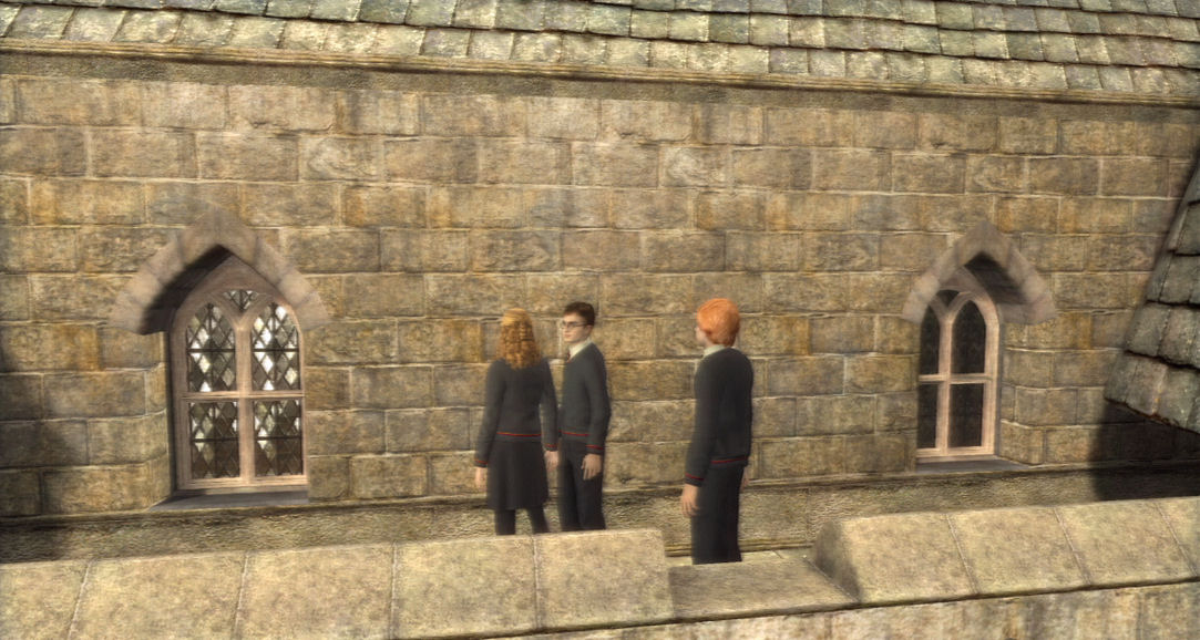 Pantallazo de Harry Potter y La Orden del Fénix para PlayStation 3