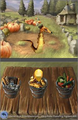 Pantallazo de Harry Potter y el Cáliz de Fuego para Nintendo DS