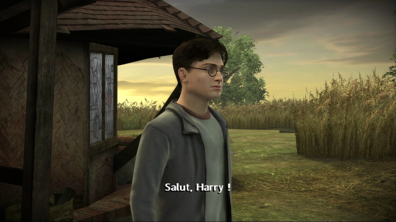 Pantallazo de Harry Potter y el Misterio del Príncipe para PlayStation 3