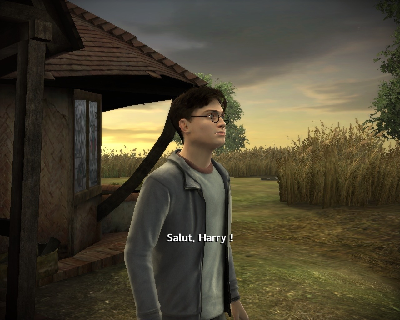 Pantallazo de Harry Potter y el Misterio del Principe para Xbox 360