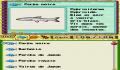 Pantallazo nº 123006 de Harvest Fishing (256 x 384)