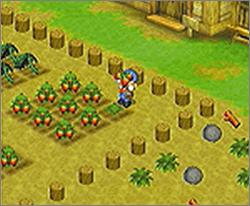 Pantallazo de Harvest Moon: Back to Nature para PlayStation