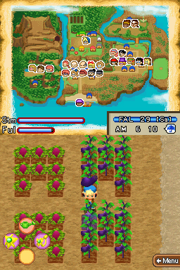 Pantallazo de Harvest Moon: Island of Happiness para Nintendo DS