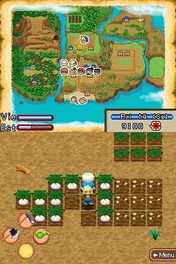 Pantallazo de Harvest Moon: Island of Happiness para Nintendo DS