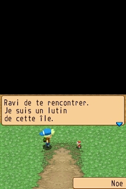 Pantallazo de Harvest Moon: Island of Happiness para Nintendo DS