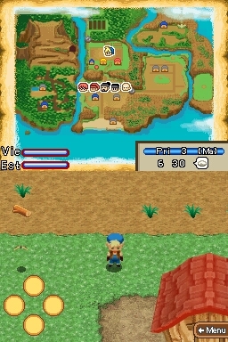 Pantallazo de Harvest Moon: Island of Happiness para Nintendo DS