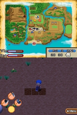 Pantallazo de Harvest Moon: Island of Happiness para Nintendo DS