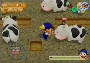 Pantallazo de Harvest Moon: Magical Melody para GameCube