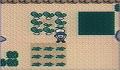 Foto 1 de Harvest Moon GBC