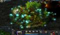 Foto 2 de Heroes of Newerth