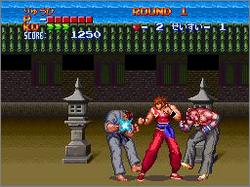 Pantallazo de Hiryu no Ken S: Golden Fighter (Japonés) para Super Nintendo