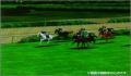 Pantallazo nº 16701 de Horse Race \'99: Internet (250 x 181)