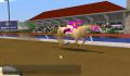 Horse Tycoon