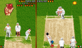 Pantallazo nº 69131 de Ian Botham's Cricket (320 x 200)