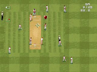 Pantallazo de Ian Botham's International Cricket 96 para PC
