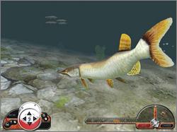 Pantallazo de In Fisherman: Freshwater Trophies para PC