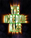 Incredible Maze, The (Wii Ware)