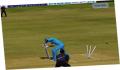 Pantallazo nº 110623 de International Cricket Captain III (500 x 390)