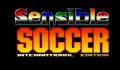 Foto 1 de International Sensible Soccer